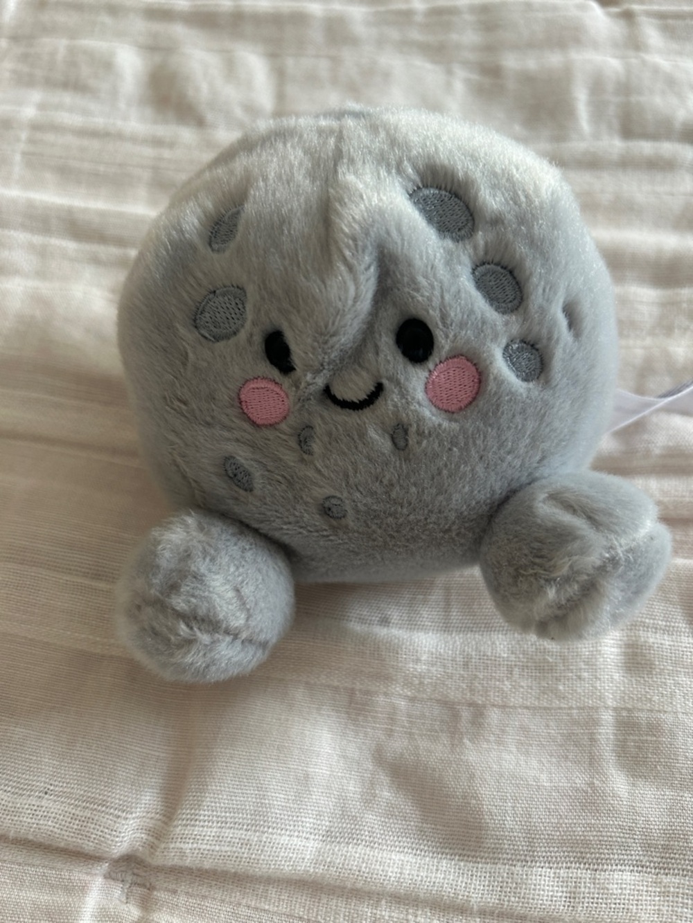 Palm Pals Moon Rock Plush
